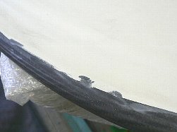 �G�|�L�V �J�[�{�� 4_4